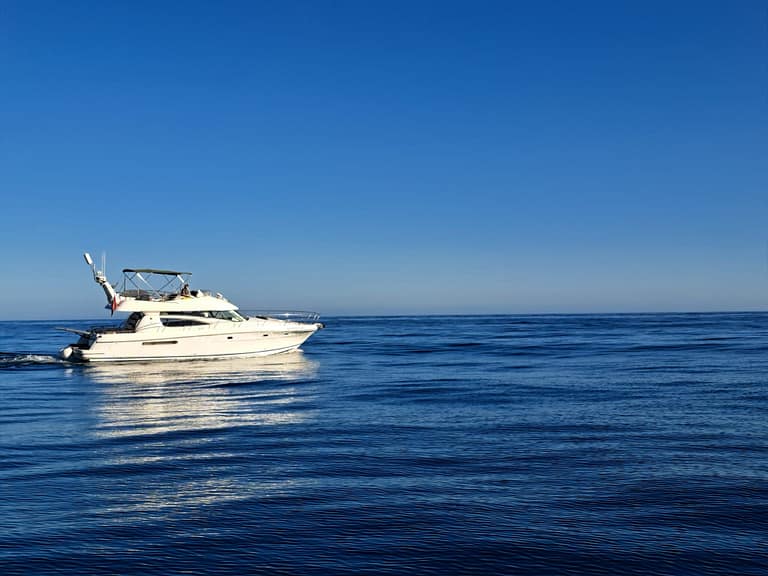 947352ec 24ac 4023 ad78 0d0d633e0c56 768x576